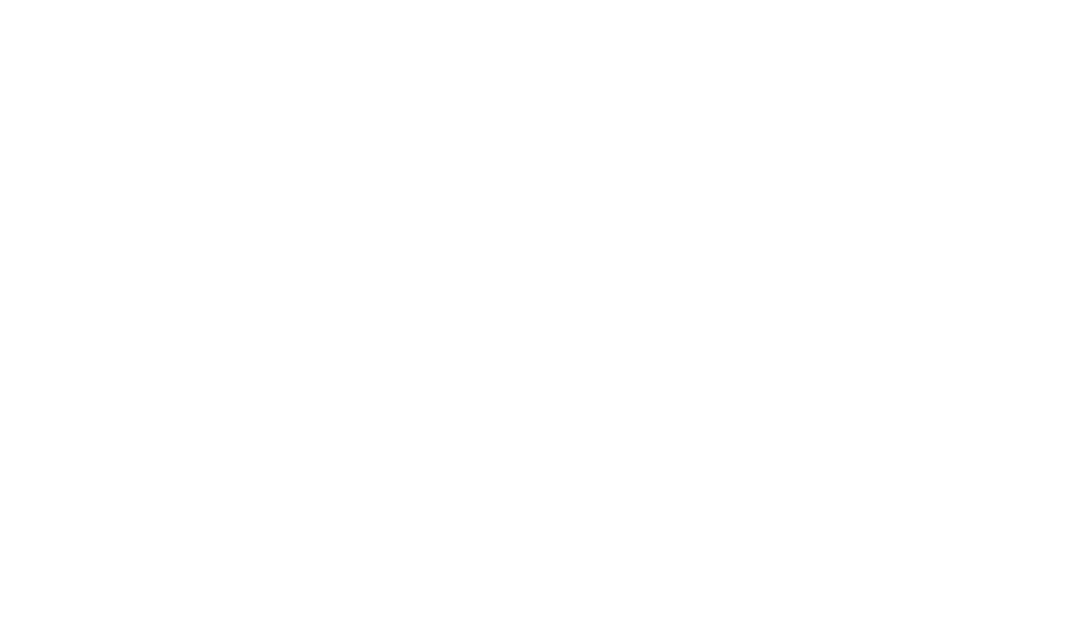 sunshineflyer.com